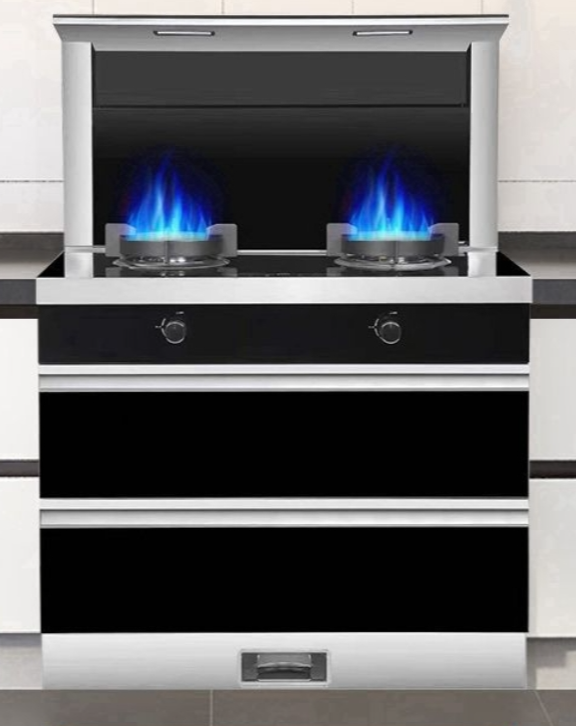 Haotaitai 750mm disinfection cabinet integrated gas stove range hood