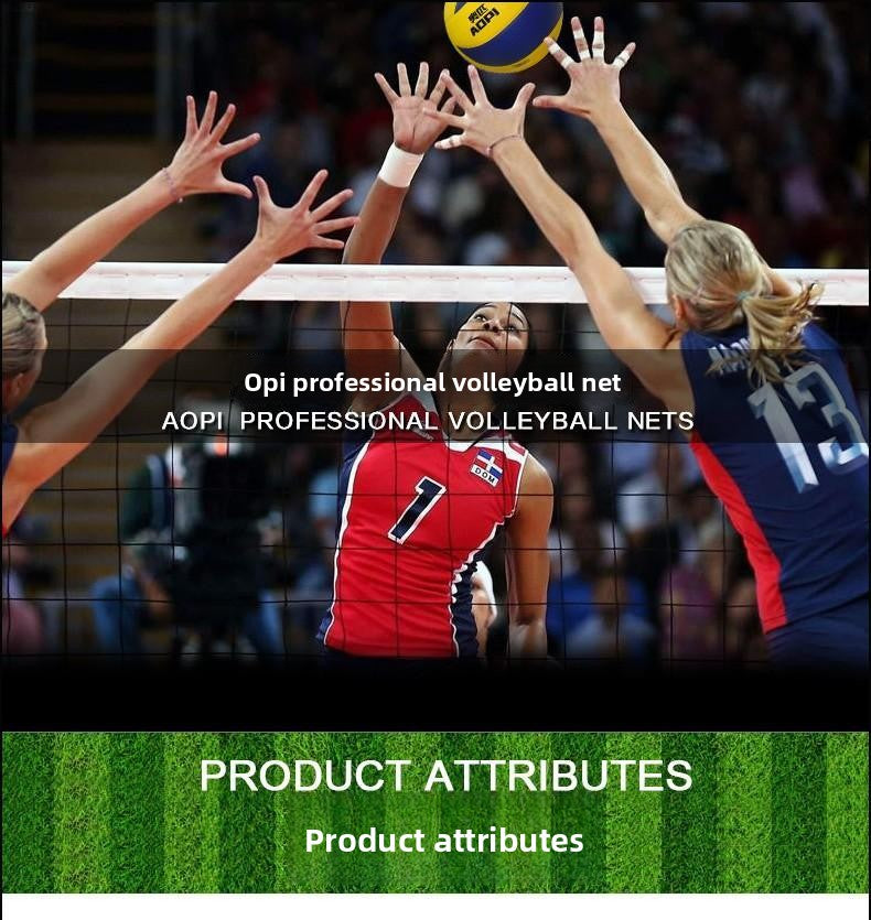 AOPI Olympic Standard Volleyball Net Competition Indoor Outdoor Air Volleyball Net Without Stand and Flagpole