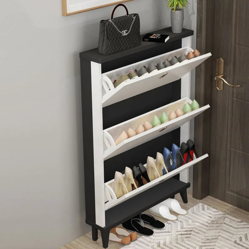 Luxury Shoe Cabinet ZK01