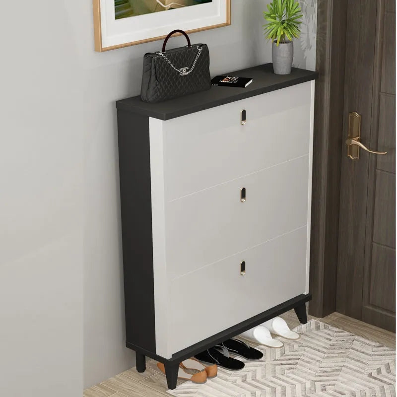 Luxury Shoe Cabinet ZK01
